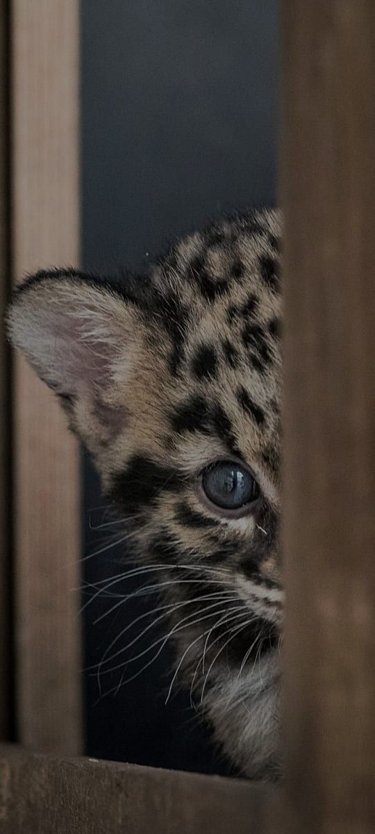 Profil de Jihed